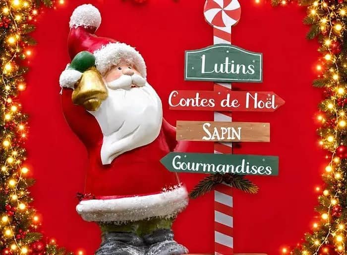 Illustration de l'événement : Lectures sous le sapin