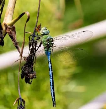 Illustration de l'événement : Nature en équilibre
