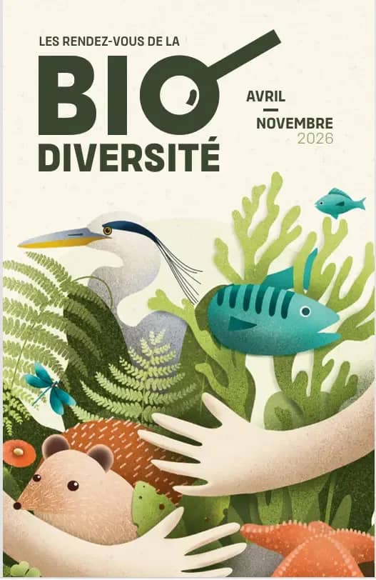 Illustration de l'événement : Aider les oiseaux en hiver