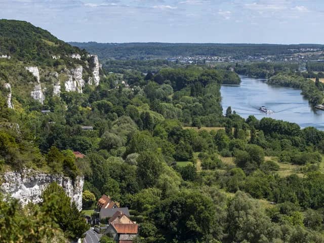 Illustration de l'événement : Visite hors-les-murs : les oiseaux en Seine