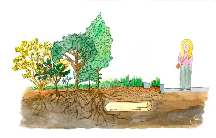 Illustration de l'événement : Forum citoyen sur les pratiques funéraires et les enjeux liés à la mémoire, à l’écologie et à la place des cimetières dans la ville