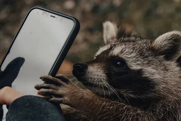 Illustration de l'événement : Prise en main de son smartphone (ou tablette)