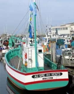 Illustration de l'événement : Visite guidée : le sardinier "Au Gré des Vents"