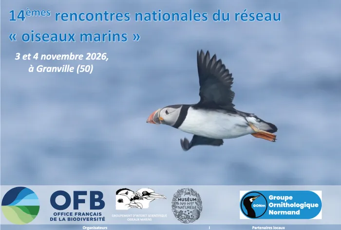 Illustration de l'événement : GRANVILLE/50: rencontres nationales