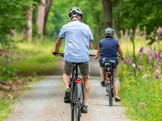 Illustration de l'événement : Balade à vélo