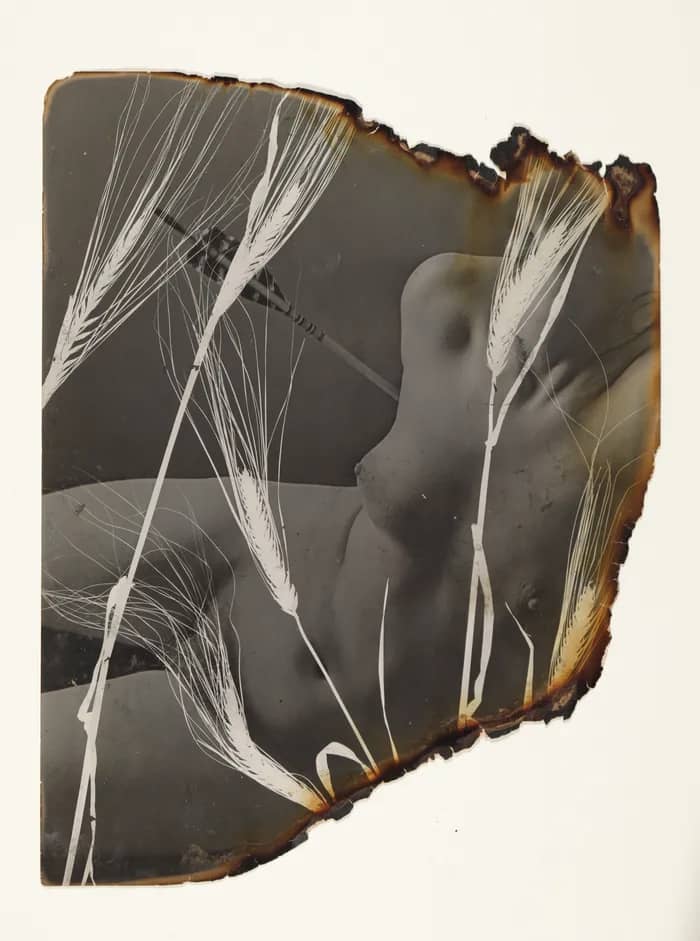 Illustration de l'événement : Exposition de Pierre Jahan, A Retrospective - Galerie Jean-François Cazeau