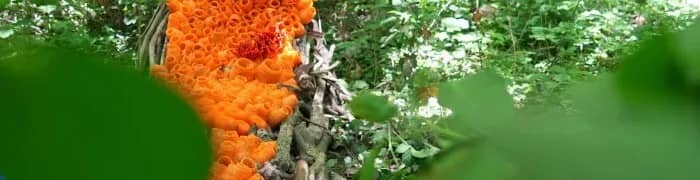 Illustration de l'événement : Randonnée : Biodiversité & paysages, du Mont Des Recollets à Cassel