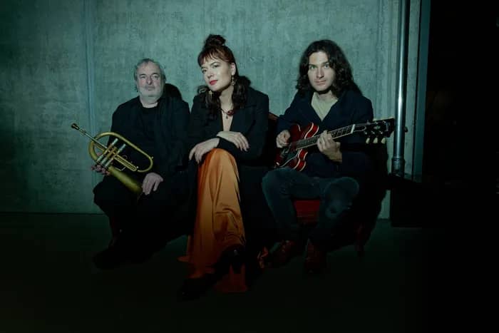 Illustration de l'événement : ELINA DUNI - ROB LUFT - MATTHIEU MICHEL