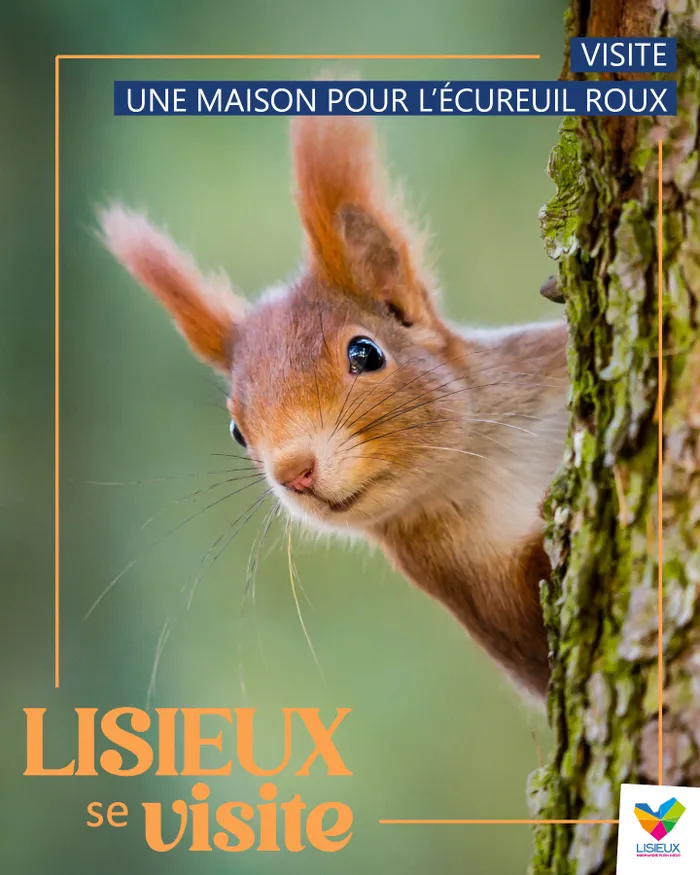 Illustration de l'événement : Visite - Une maison pour l'écureuil roux