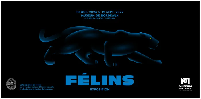 Illustration de l'événement : Exposition Félins