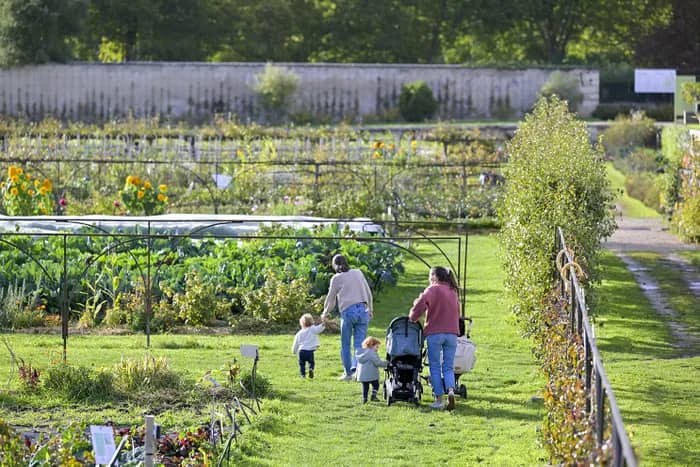 Illustration de l'événement : Les Saveurs du Potager 2026