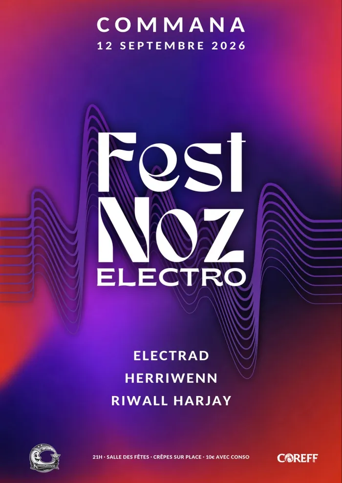 Illustration de l'événement : Fest Noz Electro
