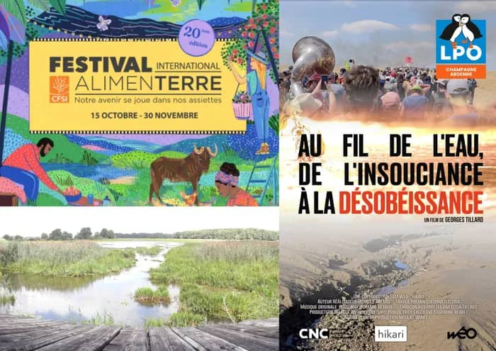 Illustration de l'événement : Balade-ciné-débat au fil de l'eau et des zones humides