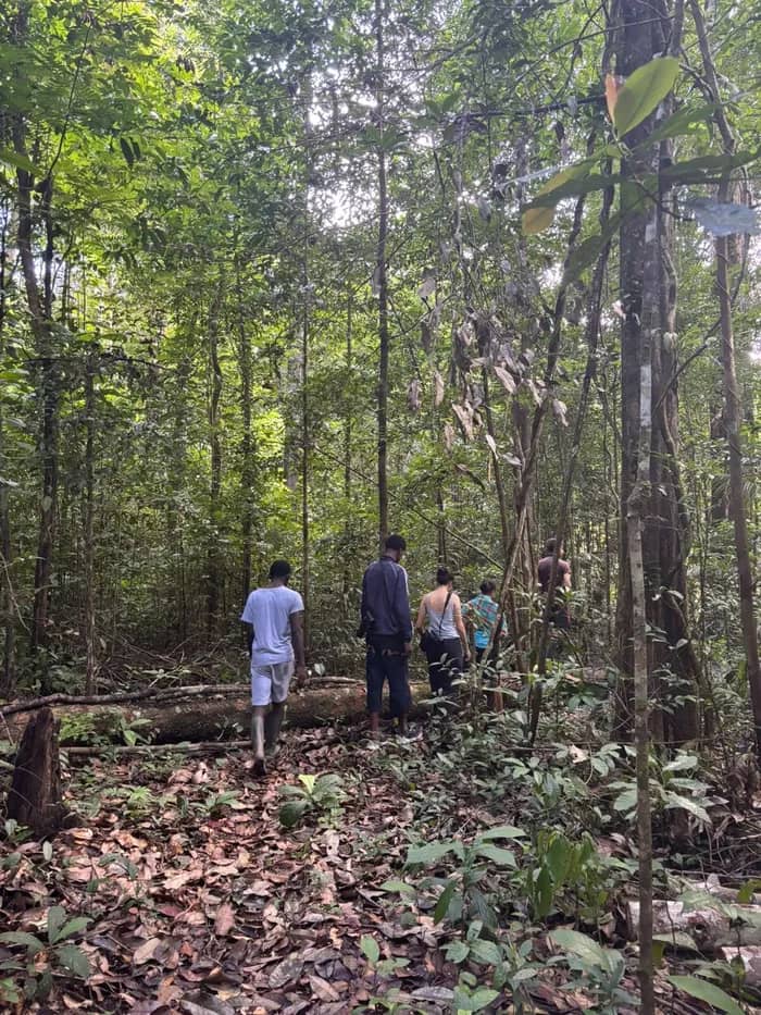 Illustration de l'événement : Sortie nature – À la découverte de la forêt guyanaise -ADNG