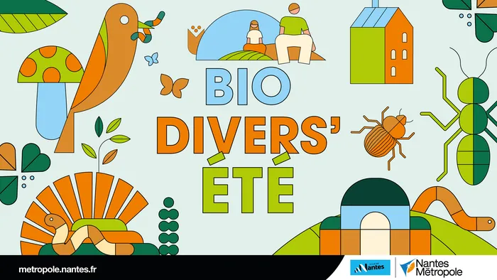 Illustration de l'événement : La face cachée de la terre