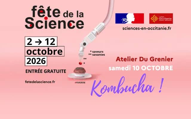 Illustration de l'événement : Fais ton Kombucha !