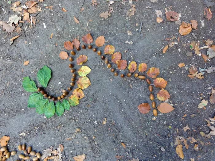 Illustration de l'événement : Balade créative en forêt