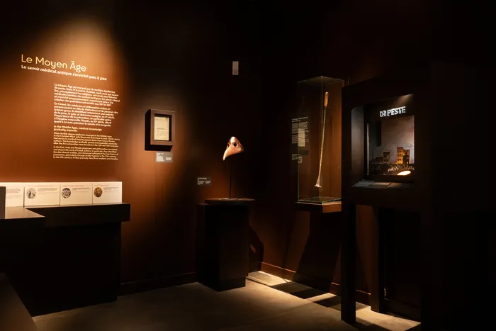 Illustration de l'événement : Visite guidée des collections