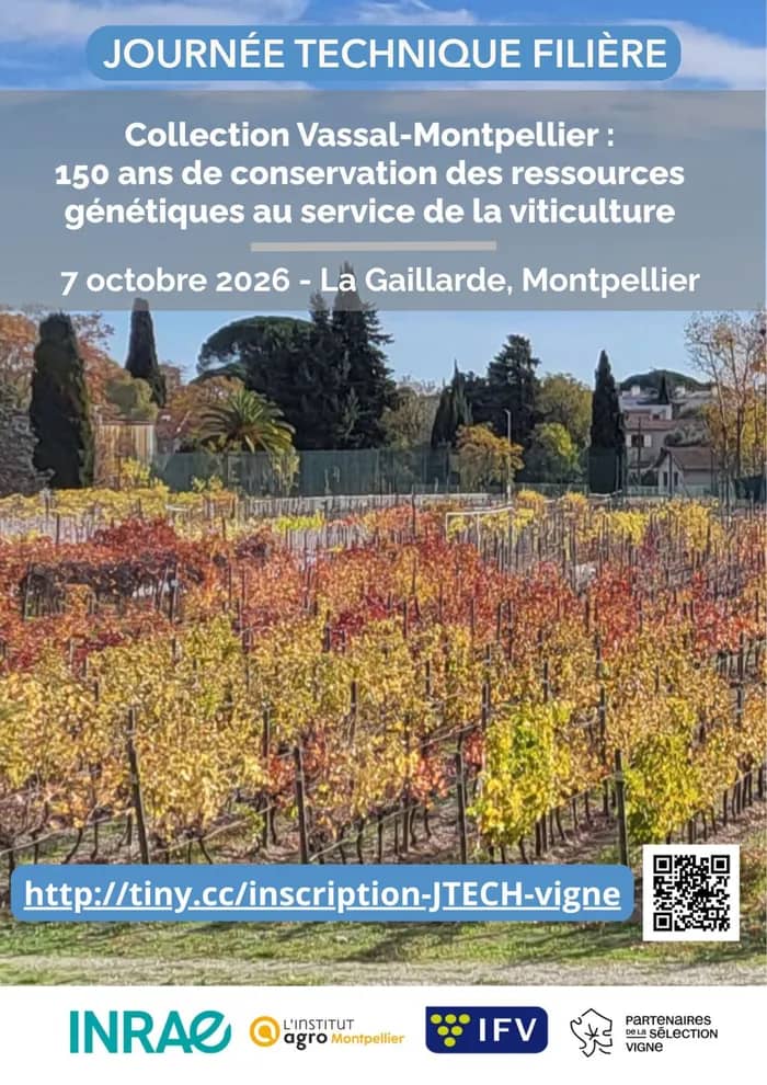 Illustration de l'événement : Journée technique consacrée aux ressources génétiques de la vigne