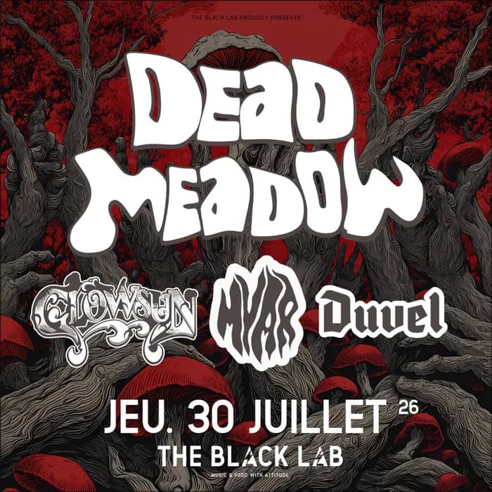 Illustration de l'événement : DEAD MEADOW @ THE BLACK LAB - Wasquehal