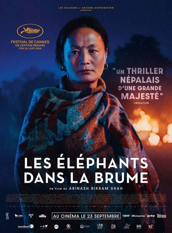 Illustration de l'événement : LES ÉLÉPHANTS DANS LA BRUME | VOST + CINÉ-RENCONTRE