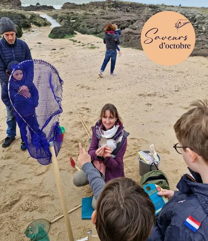 Illustration de l'événement : Initiation à la pêche à pied - Saveurs d'octobre