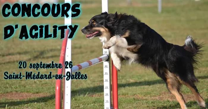 Illustration de l'événement : Concours d'agility