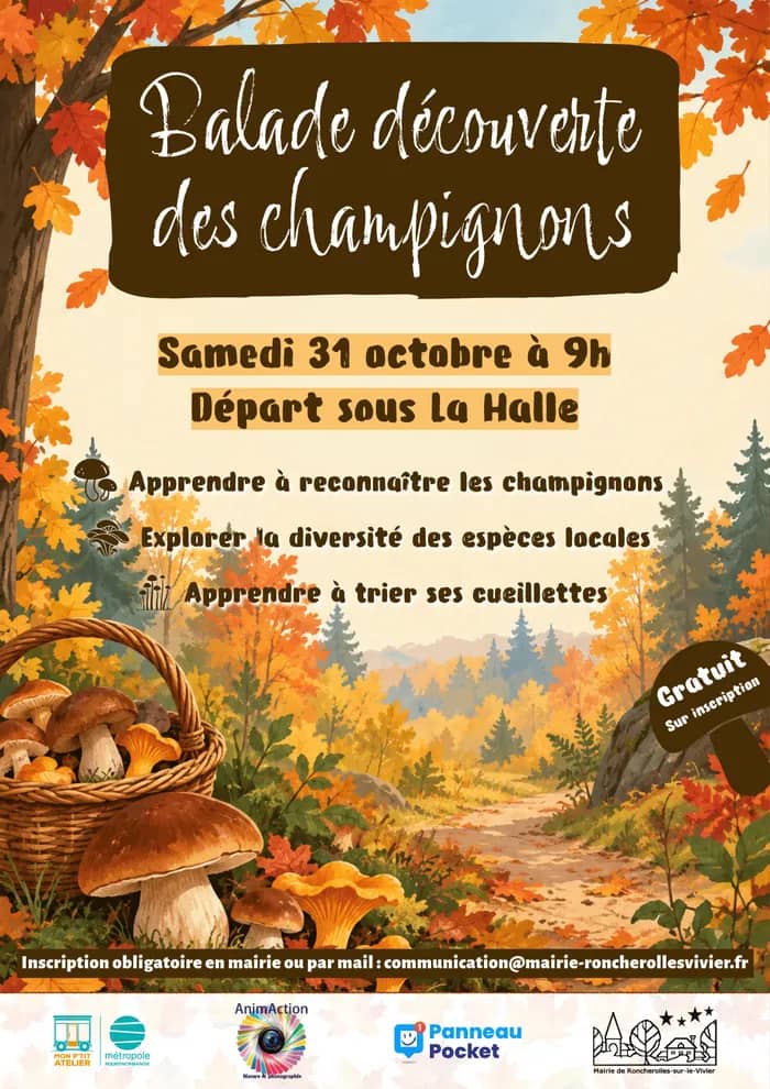 Illustration de l'événement : Balade découverte des champignons - Roncherolles-sur-le-Vivier