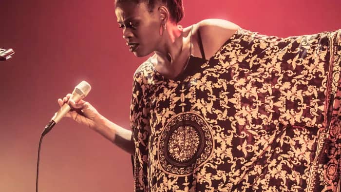 Illustration de l'événement : Samëli – Concert du Marché - 8 novembre