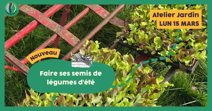 Illustration de l'événement : Atelier jardin : Faire ses semis de légumes d'été