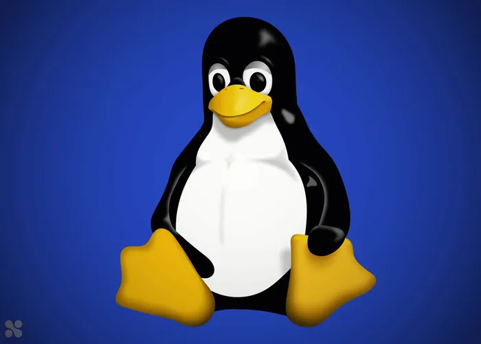 Illustration de l'événement : INSTALL’PARTY - De Windows à Linux, c’est possible