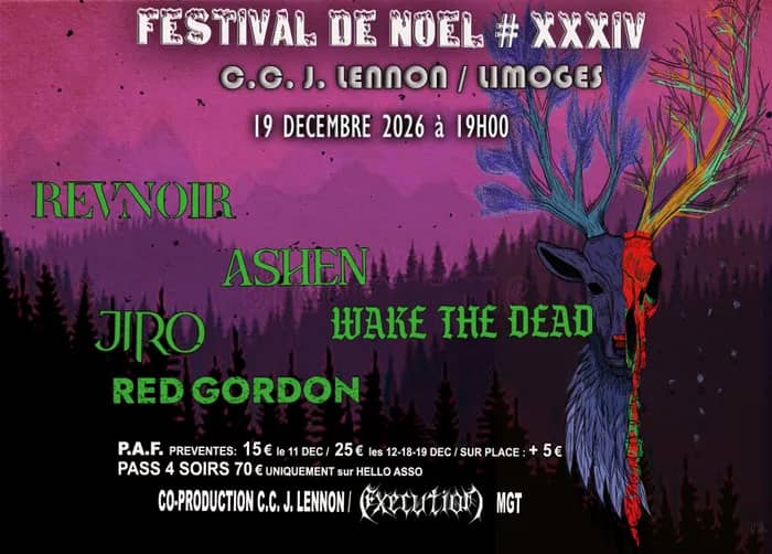 Illustration de l'événement : Festival de Noël # XXXIV