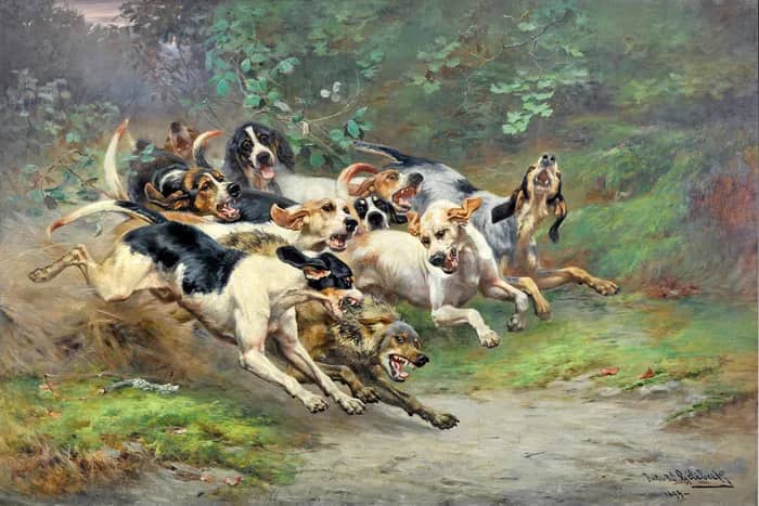 Illustration de l'événement : Visite indocile : Halte aux idées reçues sur le musée de la Vénerie !
