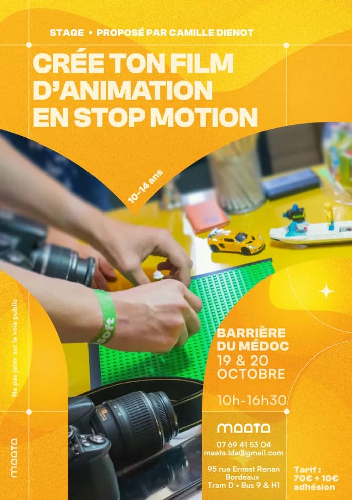 Illustration de l'événement : Stage de Stop Motion