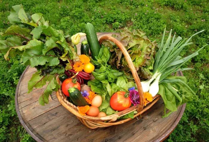 Illustration de l'événement : Cycle d’ateliers jardin potager : 6 samedis matins de décembre 2026 à juin 2027