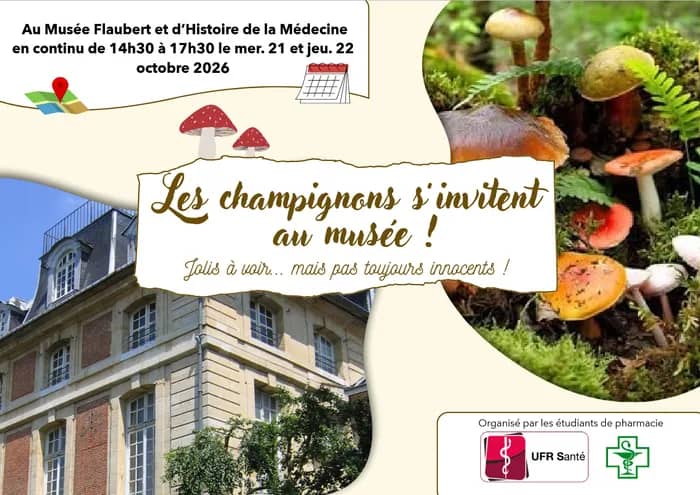 Illustration de l'événement : Animation