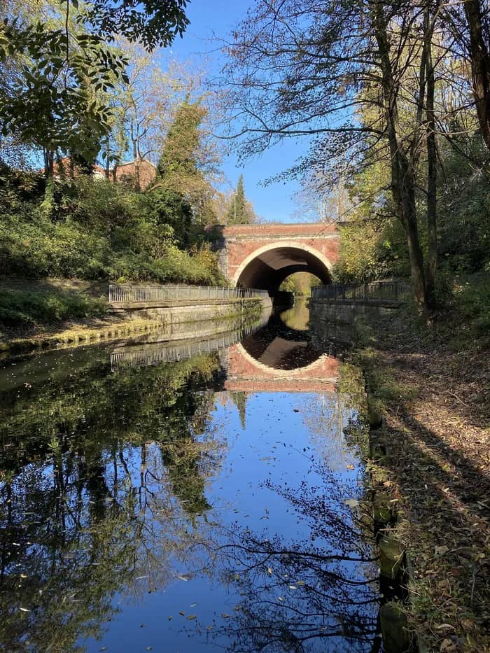 Illustration de l'événement : Balade naturaliste : les richesses de la branche de Tourcoing