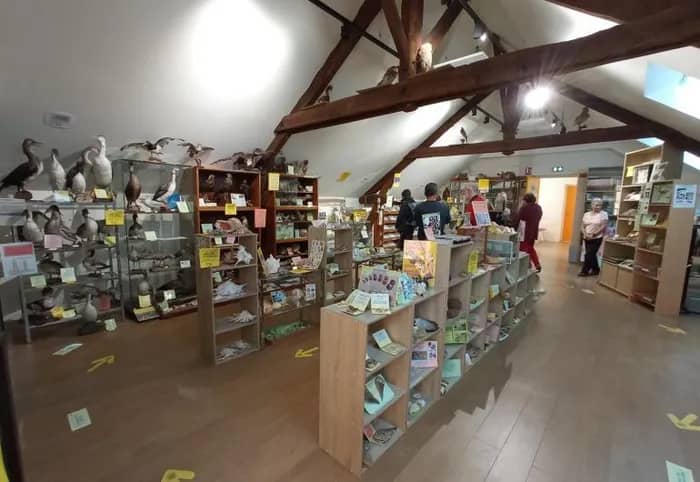 Illustration de l'événement : Exposition du fond pédagogique et scientifique sur la biodiversité de LAGC