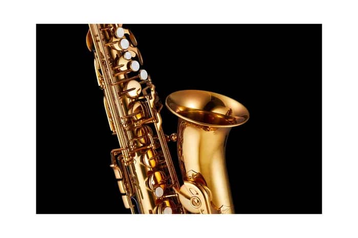 Illustration de l'événement : Musique dans la ville - Saxenscène