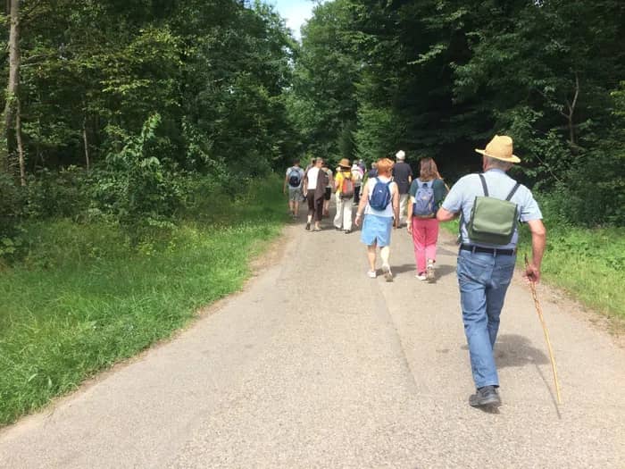 Illustration de l'événement : Mercredi à la campagne