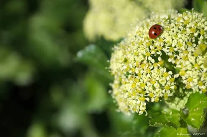 Illustration de l'événement : Visitez nos entreprises - "Saveurs de la nature" à Terre de Sel