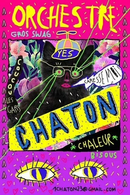 Illustration de l'événement : ORCHESTRE CHATON