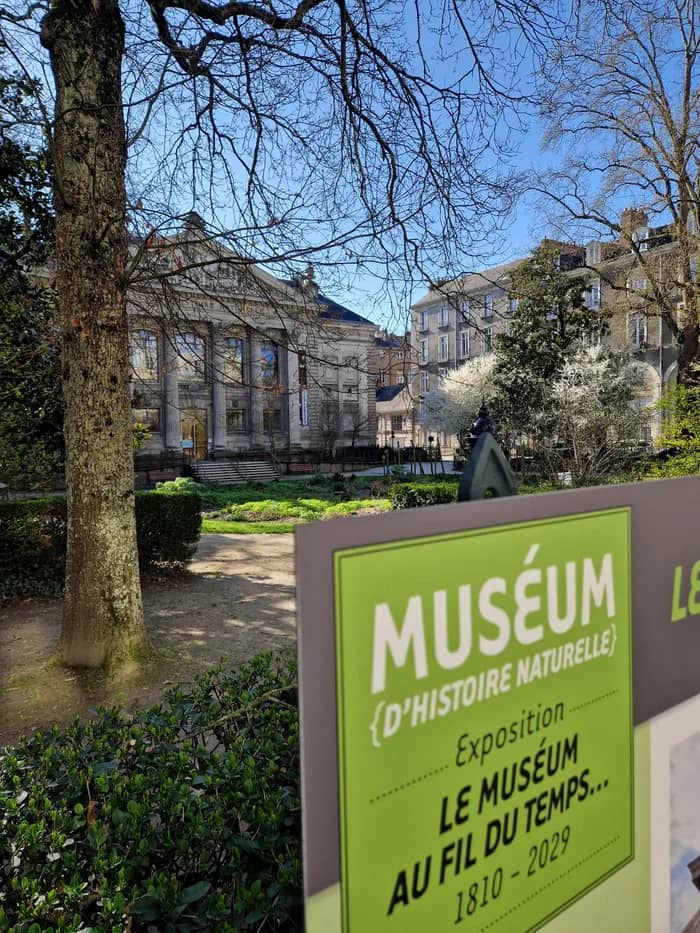 Illustration de l'événement : Exposition Le Muséum au fil du temps