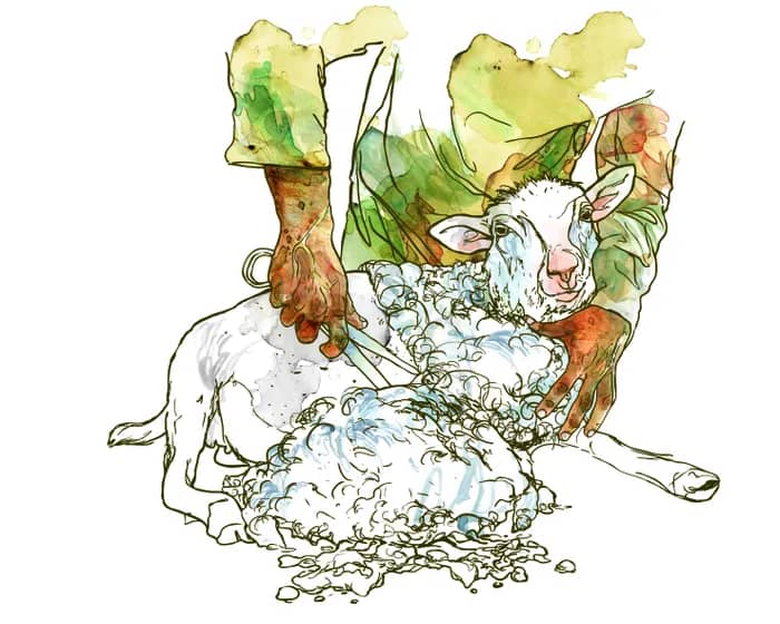 Illustration de l'événement : Visite familiale : les animaux au musée