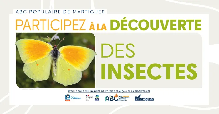 Illustration de l'événement : Atlas populaire de la Biodiversité Communale : " Découverte des insectes "