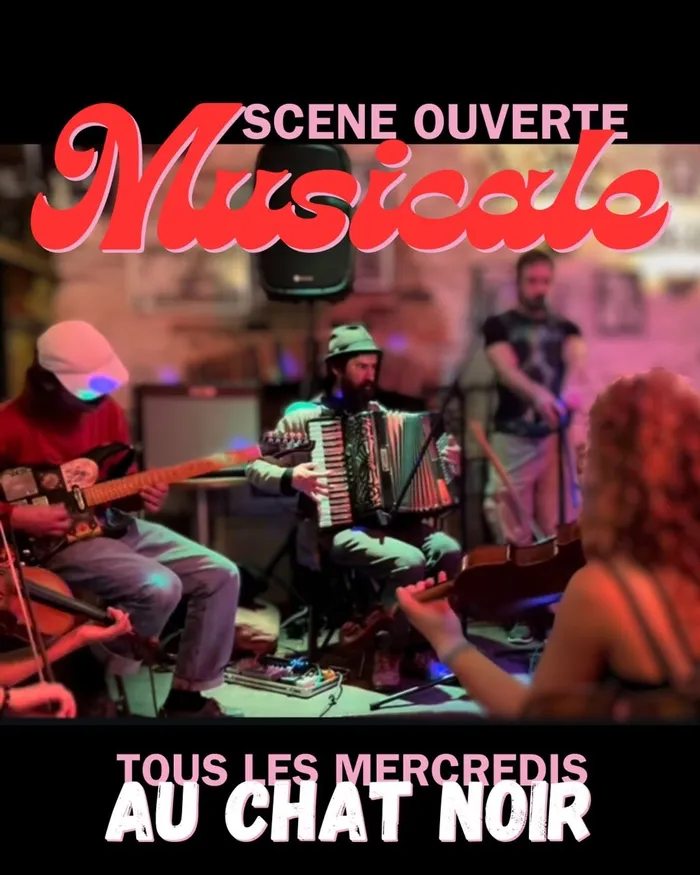 Illustration de l'événement : SCÈNE OUVERTE MUSICALE