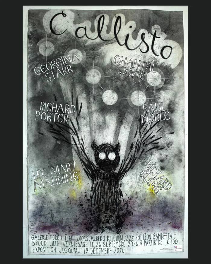 Illustration de l'événement : Exposition internationale collective : CALLISTO