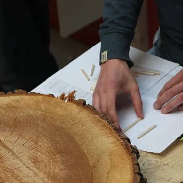 Illustration de l'événement : ARBOREACARLO, jeu de simulation sur la gestion durable des forêts avec Chaire UNESCO Université de Bordeaux Montaigne