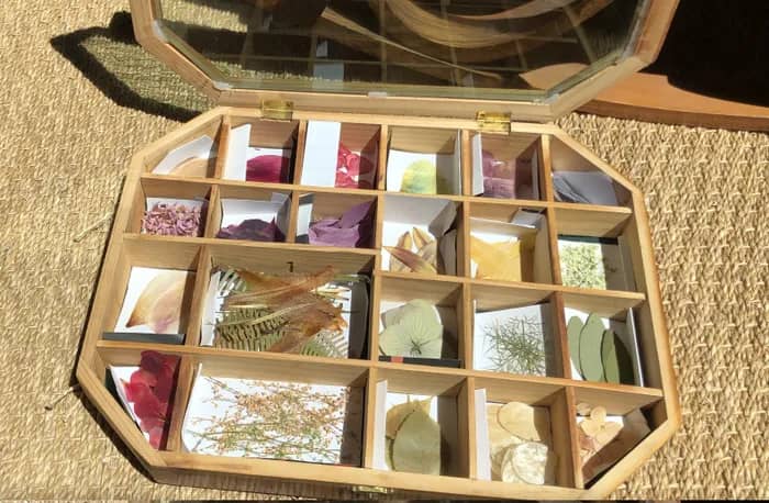 Illustration de l'événement : Atelier créatif : Kaléidoscope fleuri
