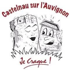 Illustration de l'événement : Bal Castelnau sur L'Auvignon 32100